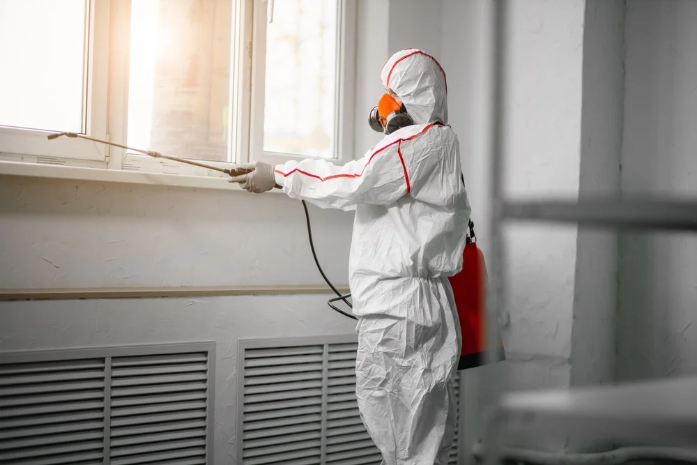 Professional mold remediation services in Smiths Creek, MI